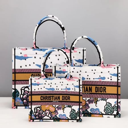 حقيبة ديور بوك توت إن سييل دو ريف 3 أحجام