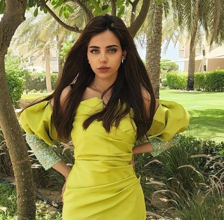 فستان باكمام شفافه