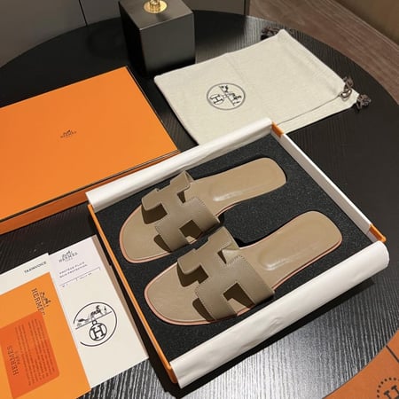Hermès sleeper