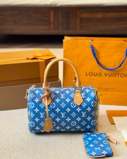 شنطه لويس فيتون