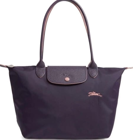 لونق تشامب لارج