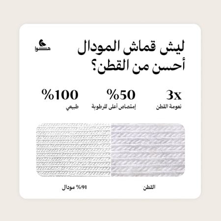 البوكسر (عدد 8)