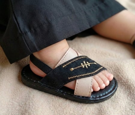 زبيري ملكي Z2