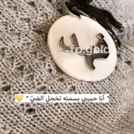 بروش صدف الحصان مطلي ذهب