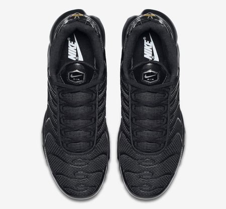 Air max plus