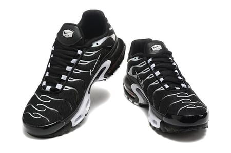 Air max plus