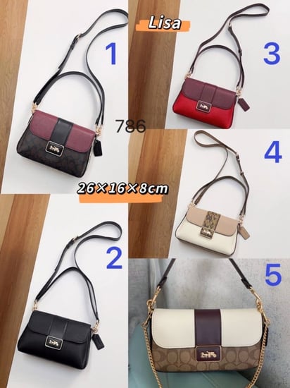 شنطة نسائية ماركة coach