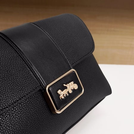 شنطة نسائية ماركة coach