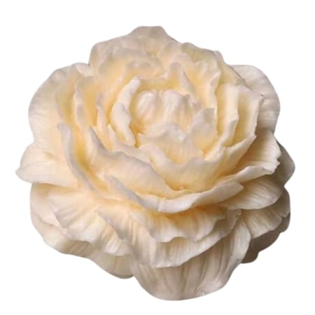 بوكس هوم سويت هوم