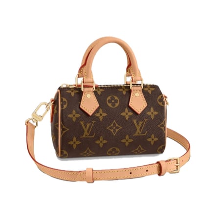 louis vuitton speedy