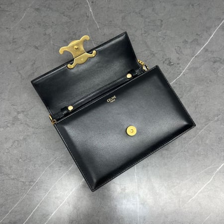 حقيبة سيلين