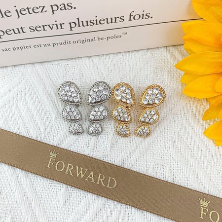 أقراط أذن بوشرون