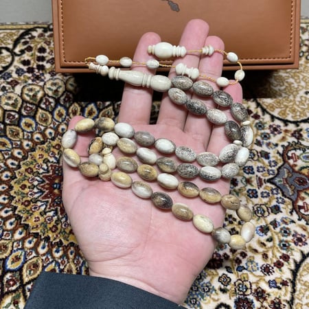 مسباح قرن غزال الايل