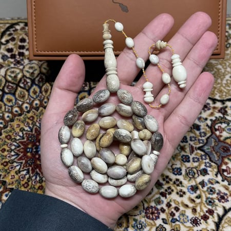 مسباح قرن غزال الايل