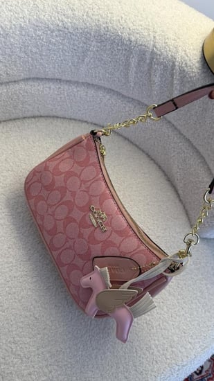 كوتش تيري |وردي