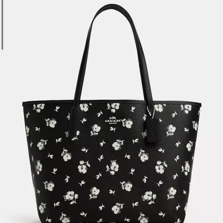 توتي باق من كوتش اسودّ مورد