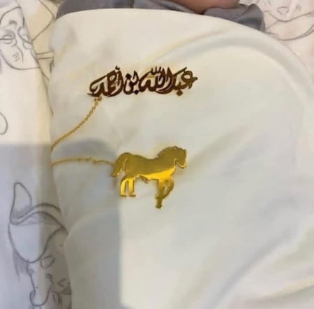 بروش اطفال بالاسم شكل الخيل