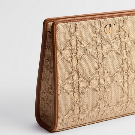 Pouch Dior