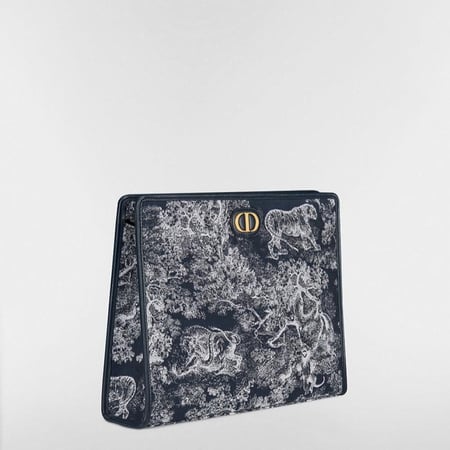 Pouch Dior