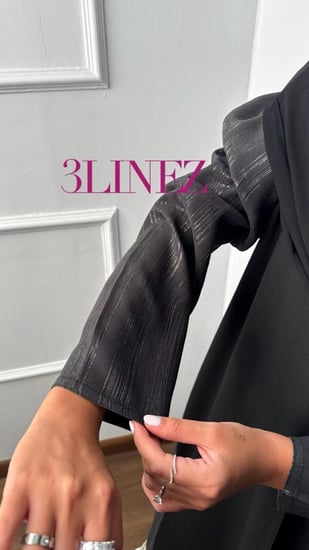 3L958