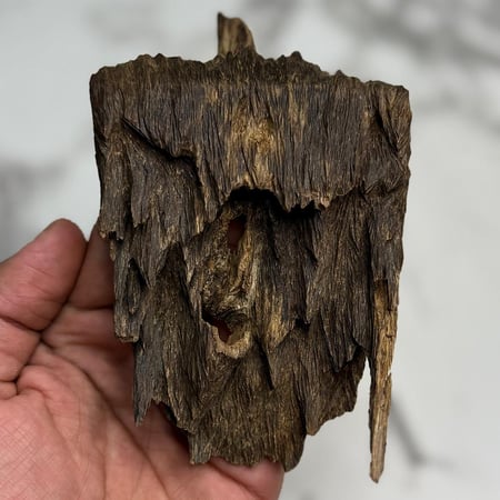 كسرة نوادر ماليناو منترانق 58.5g