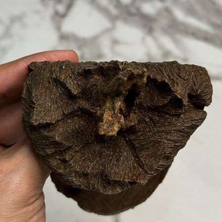 كسرة نوادر ماليناو منترانق 58.5g