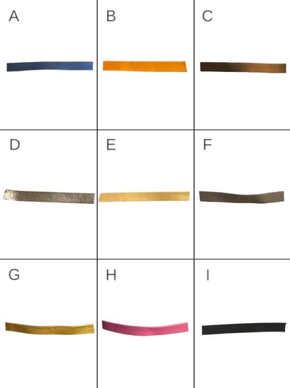 محفظة بسحاب (متعددة الألوان)