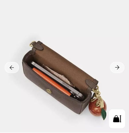 شنطة coach