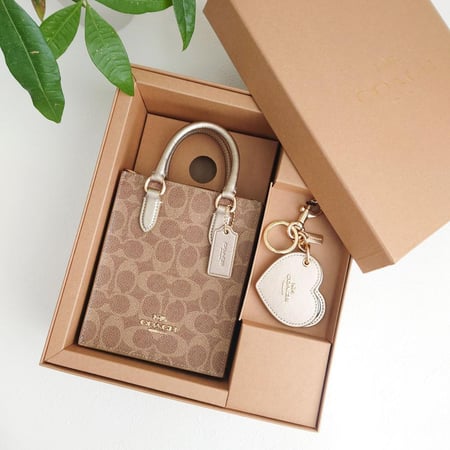 شنطة ميني coach