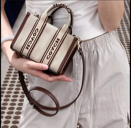 شنطة coach مقاس ميني