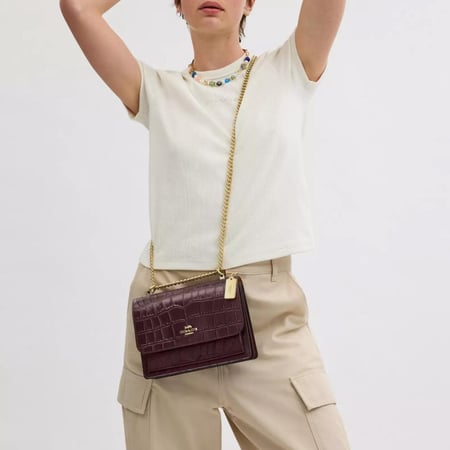 شنطة coach