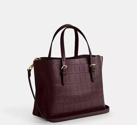 شنطة coach