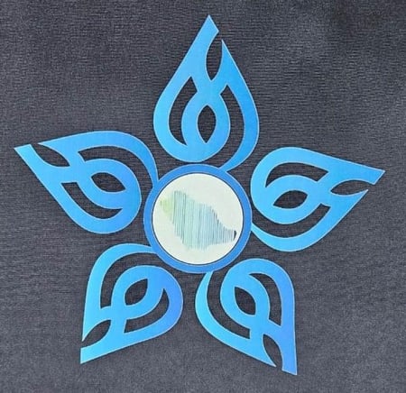 سترة الأمن الصحي VIP