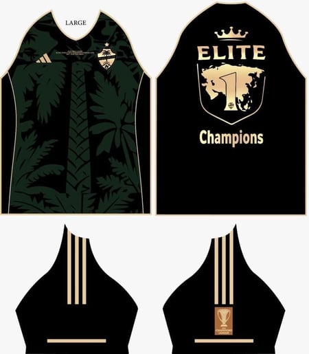 تيشرت الاهلي الجديد