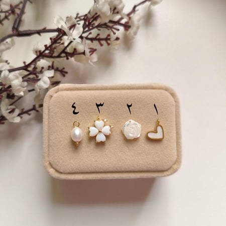 بكج البروش وخاتم المواليد