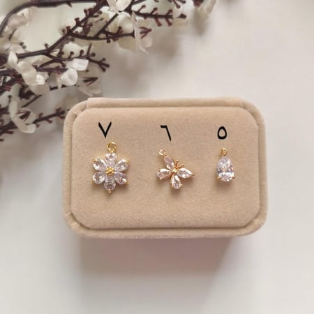 بكج البروش وخاتم المواليد