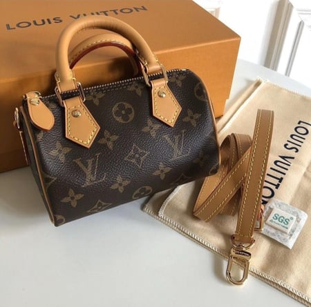 شنطة لويس فيتون