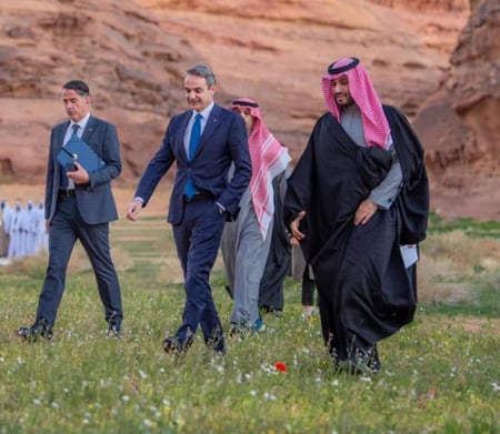 بشت ولي العهد