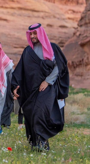 بشت ولي العهد