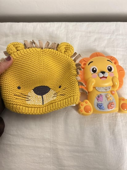 بوكس الأسد المحبوب