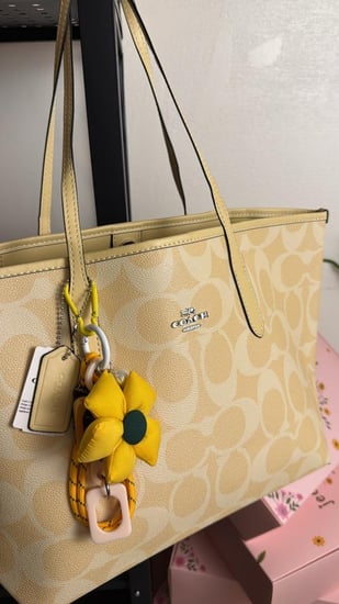 توت باق كوتش صيفي