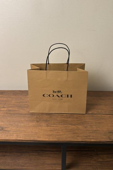 كيس كوتش صغير