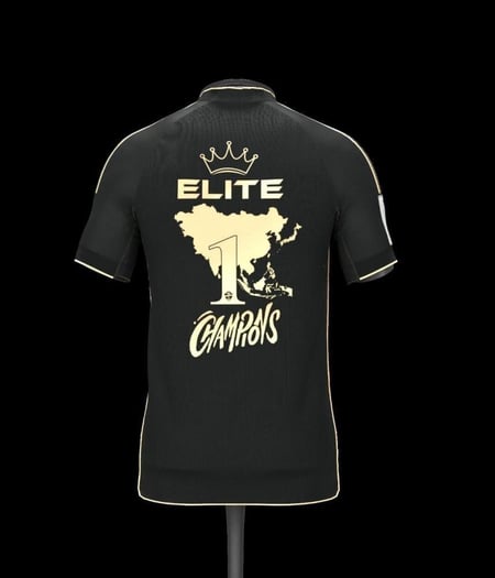 تيشيرت بطل النخبة - إصدار خاص - نادي الأهلي السعودي