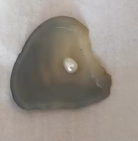 بكج المحار " الاكثر مبيعاً "