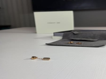حلق شروتي متدلي ومرصع بالكريستال cerruti 1881 earring drop crystal