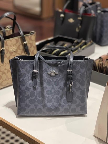 كوتش مولي نيفي سجنتشر