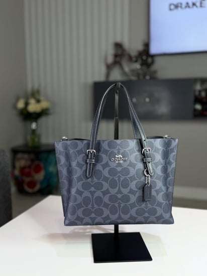 كوتش مولي نيفي سجنتشر