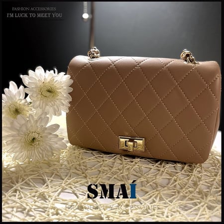 حقيبة يد صغيرة مبطنة