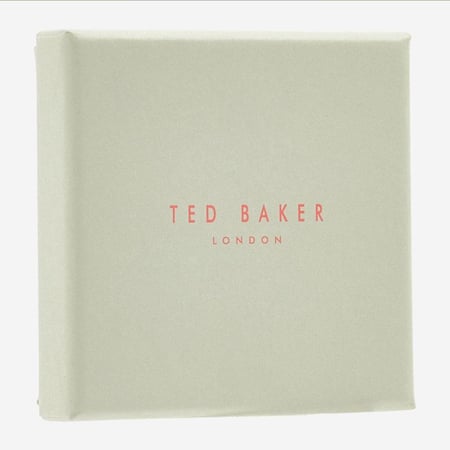 TED BAKER Silve Earrings