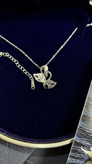 Black and white swan مقاوم للصدا